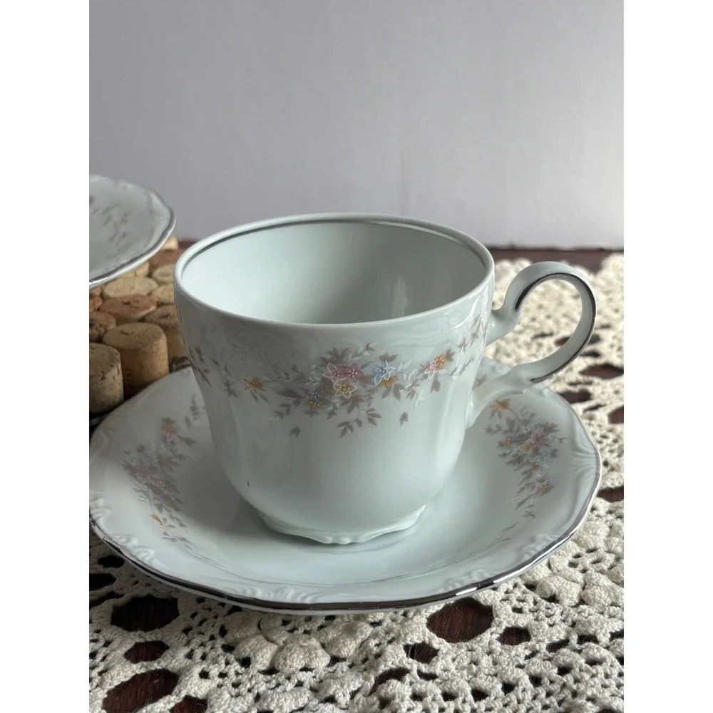Johann Haviland Bavaria Blue Garland Teacup and‎ Saucer Set Silver Trim Germany